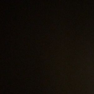 Meet your Posher, Ella